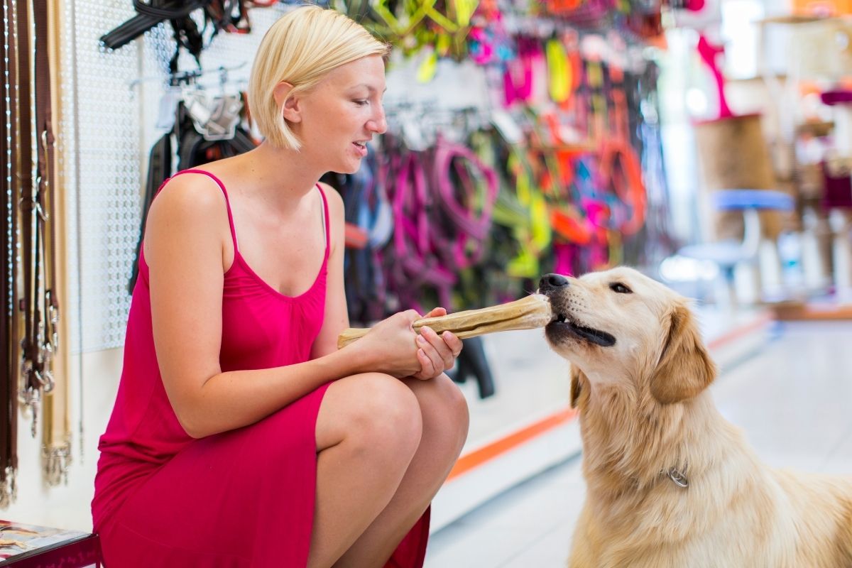 selling a pet store Florida Sunbelt